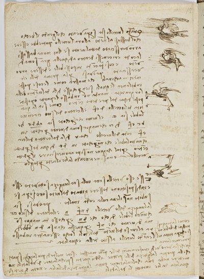 Birds Flight Code, Sheet 8 Verso by Leonardo da Vinci